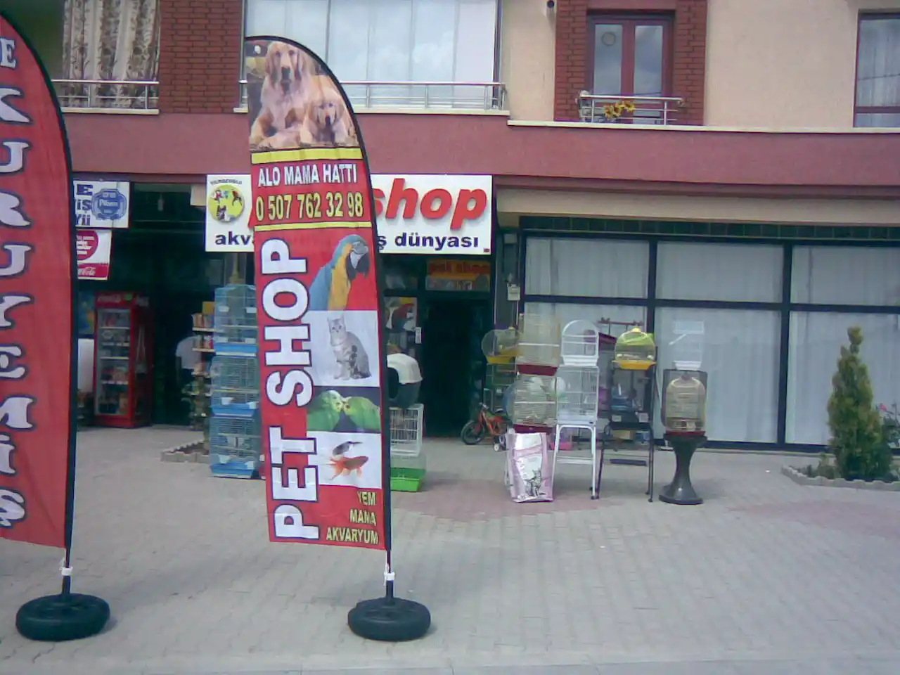 Pet Shop Yelken Bayrağı-34